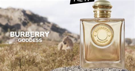 sample burberry goddess|burberry goddess tester.